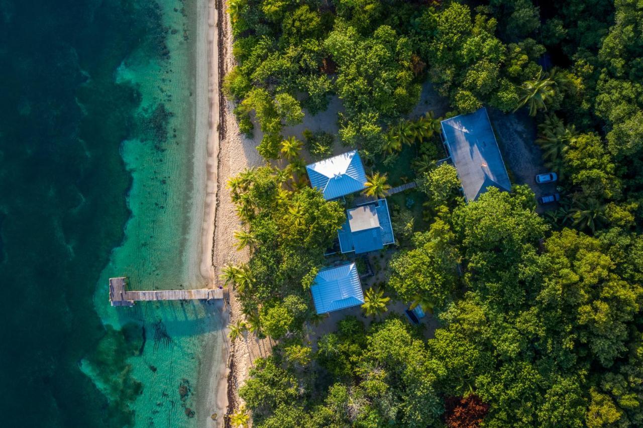 Camp Bay Lodge Bagian luar foto